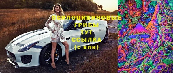 твердый Вяземский
