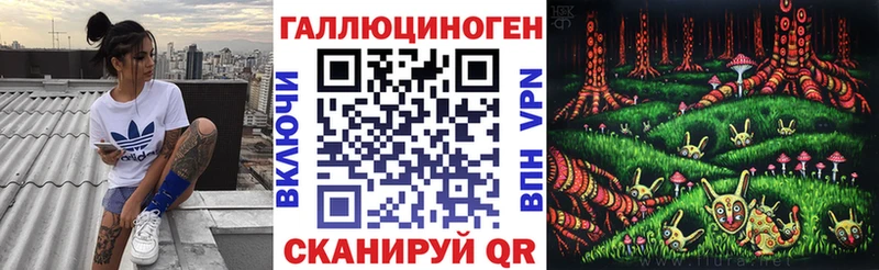 Псилоцибиновые грибы Psilocybine cubensis  Невинномысск 